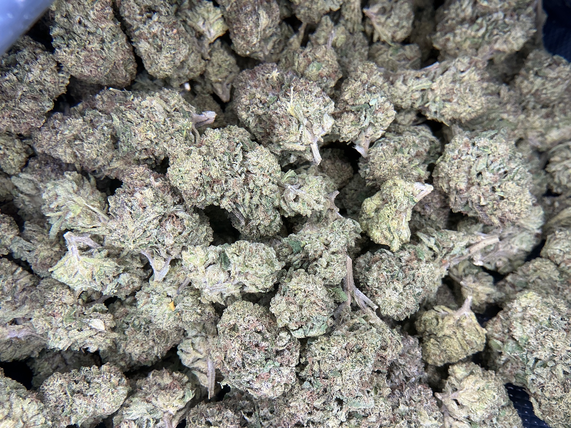 ZAhiti Lime THCa Flower(Exotic) / 1 Gram